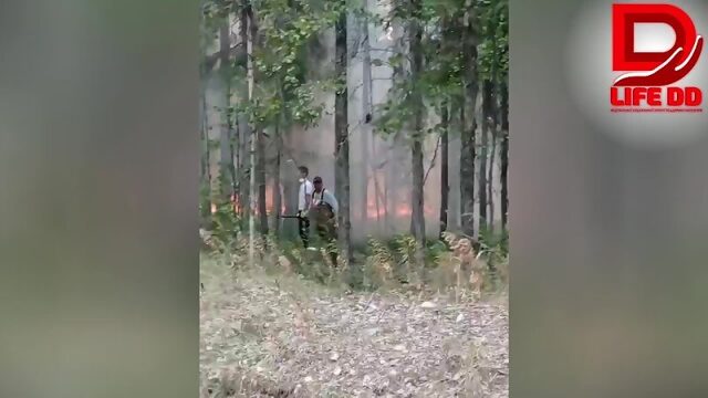 Губернатор Карелии заявил что нет причин для паники из-за лесных пожаров уничтожающих посёлок