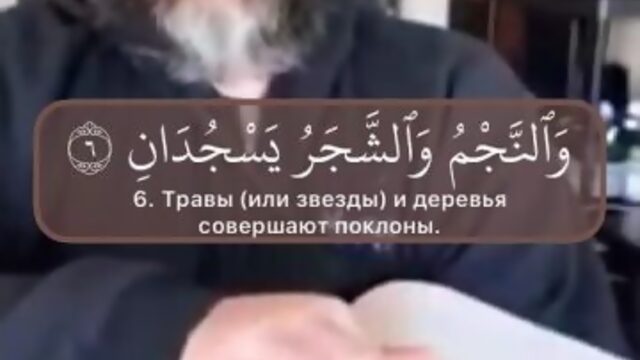Сура 5 «Ар-Рахман» аяты 1-7.